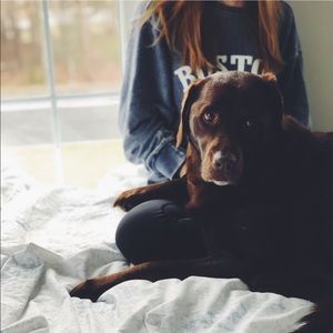 Meet your Posher, Lex